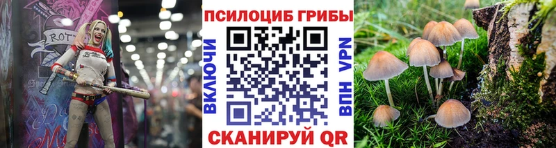 Галлюциногенные грибы MAGIC MUSHROOMS  Разумное 